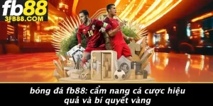 Bóng Đá FB88: Cẩm Nang Cá Cược Hiệu Quả Và Bí Quyết Vàng