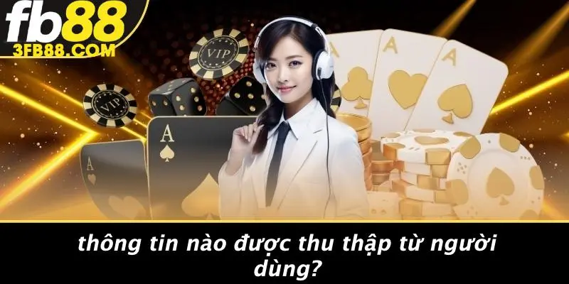 Thông Tin Nào Được Thu Thập Từ Người Dùng?